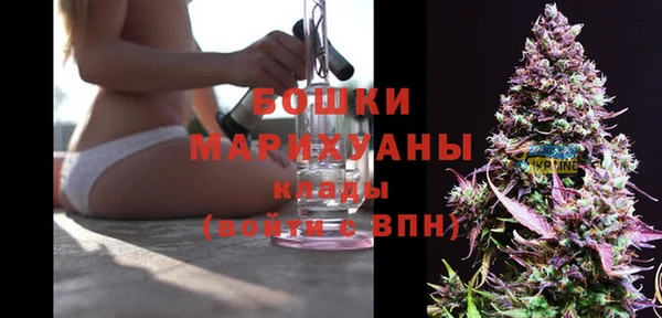 кокс Вяземский