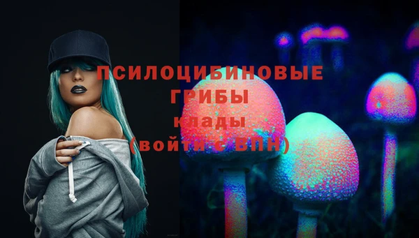 кристаллы Карпинск