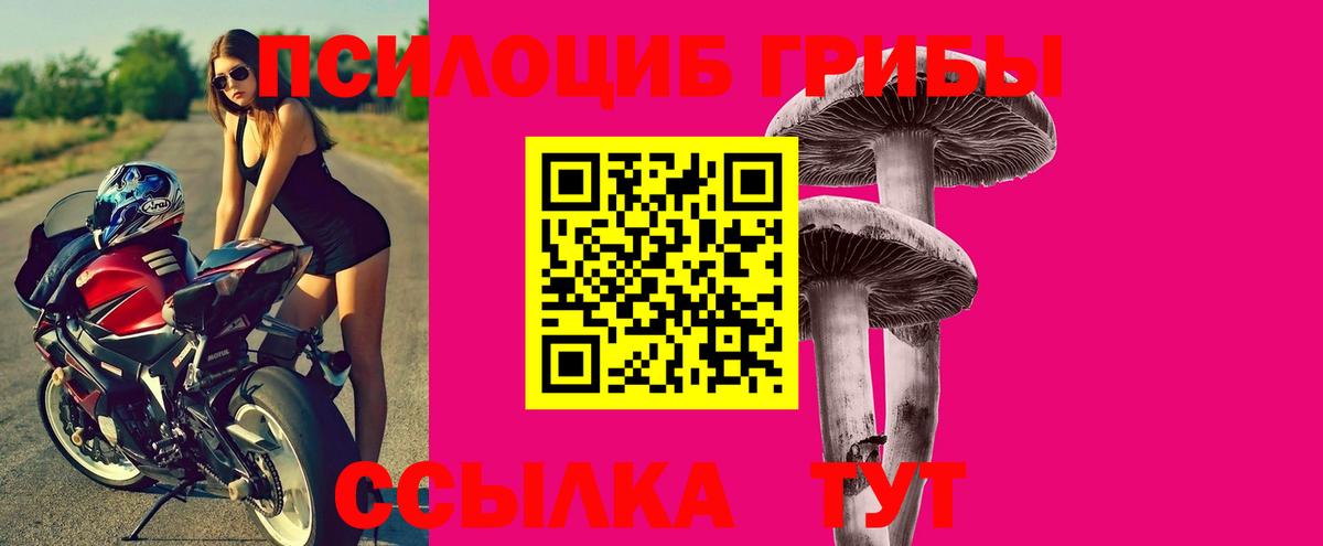 Галлюциногенные грибы Magic Shrooms  Богородск 