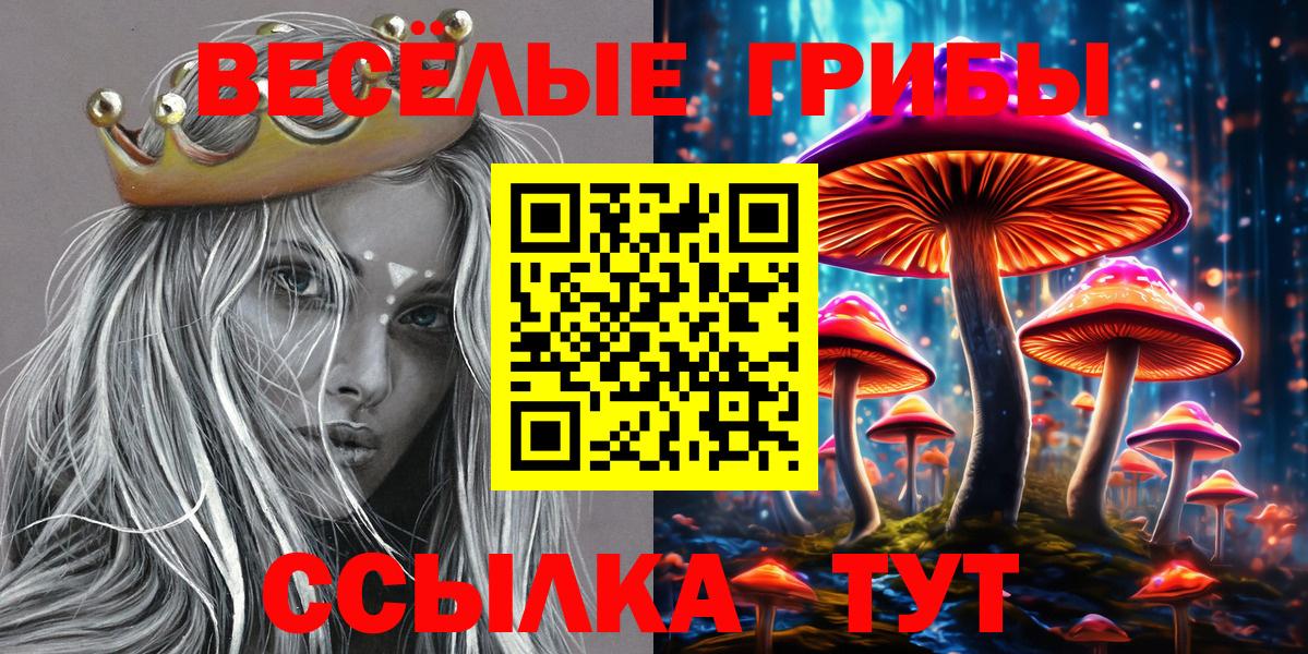Богородск  Псилоцибиновые грибы Psilocybe  сколько стоит  Вход с VPN 